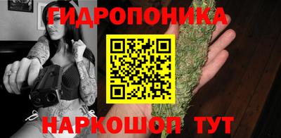 молекула духа Краснодар