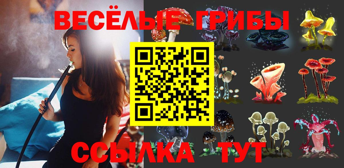 Хабаровск  Псилоцибиновые грибы Cubensis  Вход с VPN 